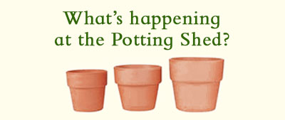 What’s Happening at the Potting Shed? 