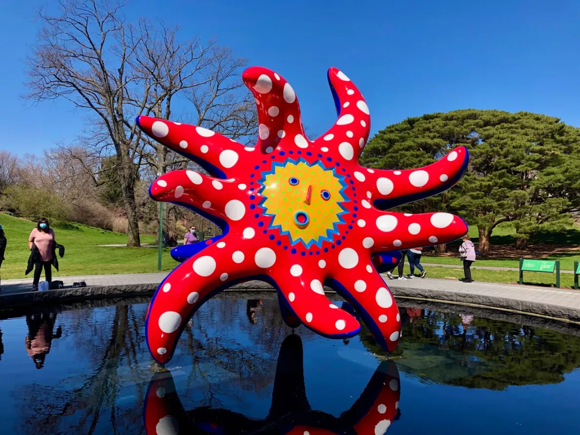 Field Trip to NYBG to see the Kusama: Cosmic Nature Exhibition