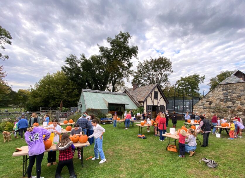 Carvathon Pumpkin Stroll