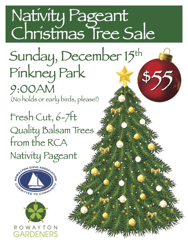 Christmas Tree Sale