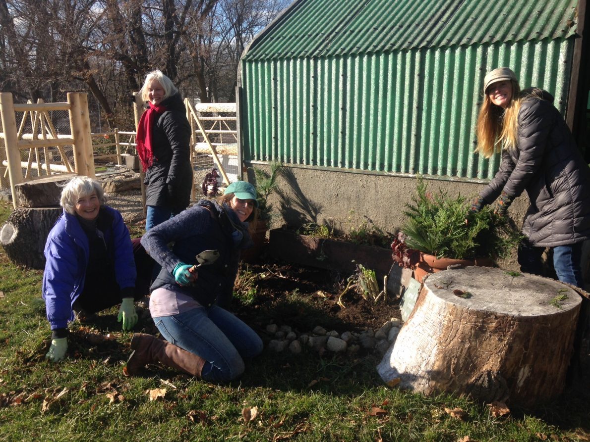 potting shed beds are put to sleep for winter – rowayton