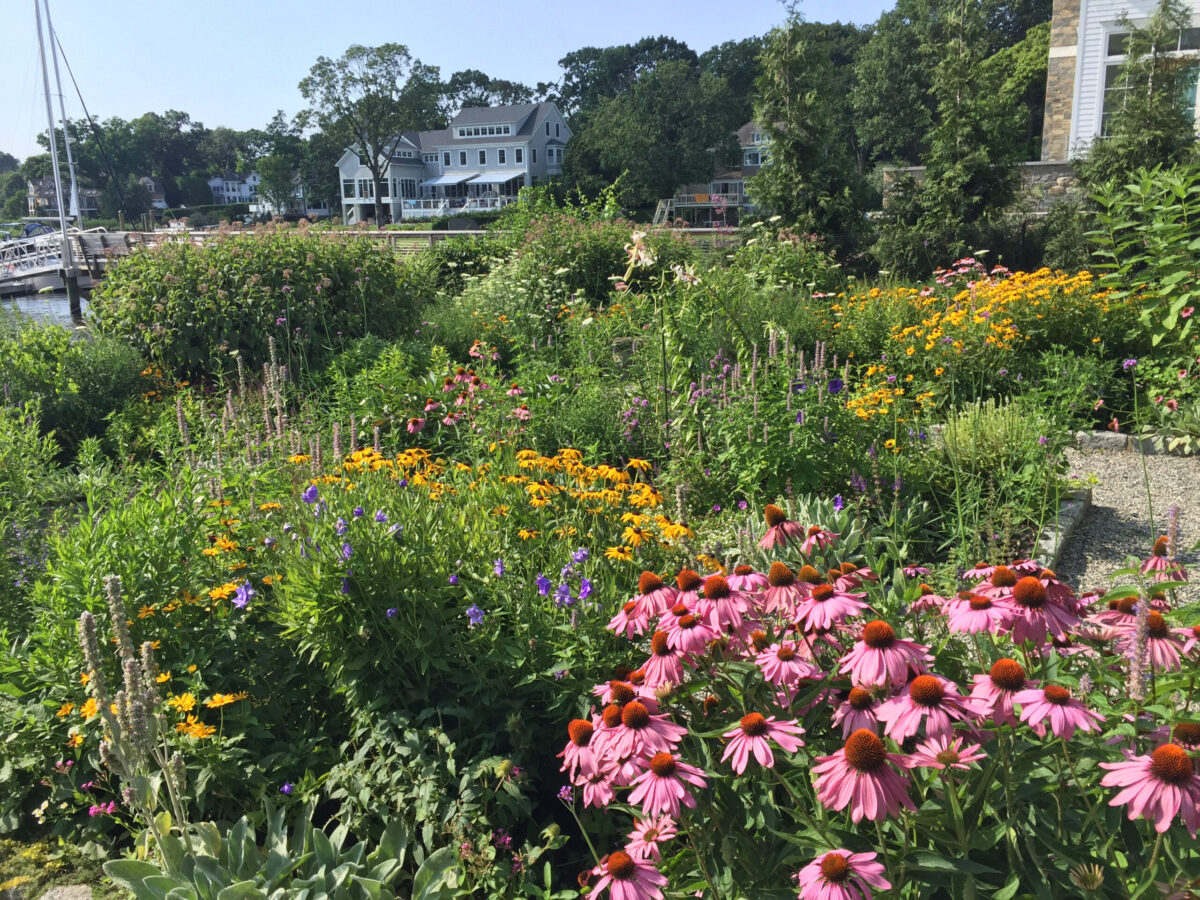 Pinkney Park – Rowayton Gardeners