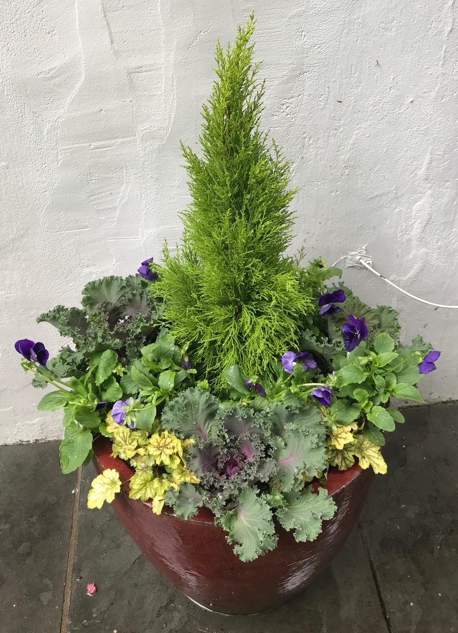 Fall Adult Program – Creative and Colorful Autumn Containers