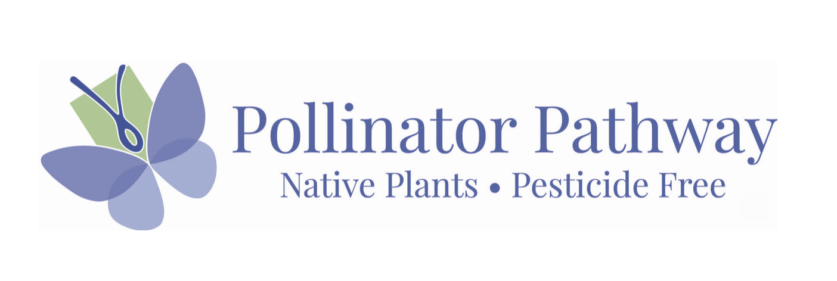 Polinator Pathway Webinar June 27