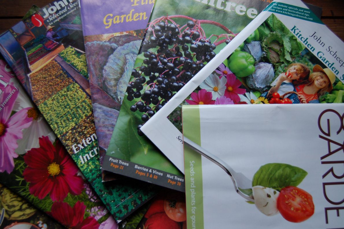 Seed Catalogs – Do You Have a Favorite?