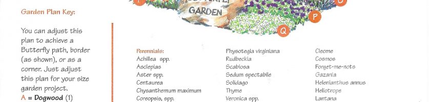 Create Your Own Butterfly Garden