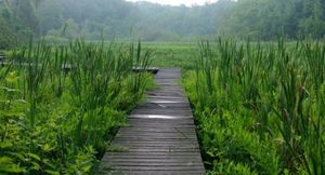 Field Trip to the Garden of Ideas in Ridgefield, CT