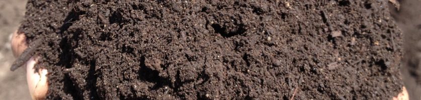 Hort Report:  Composting for the Home Gardener