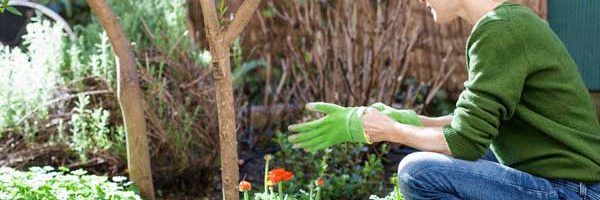 New Years Resolutions for Gardeners