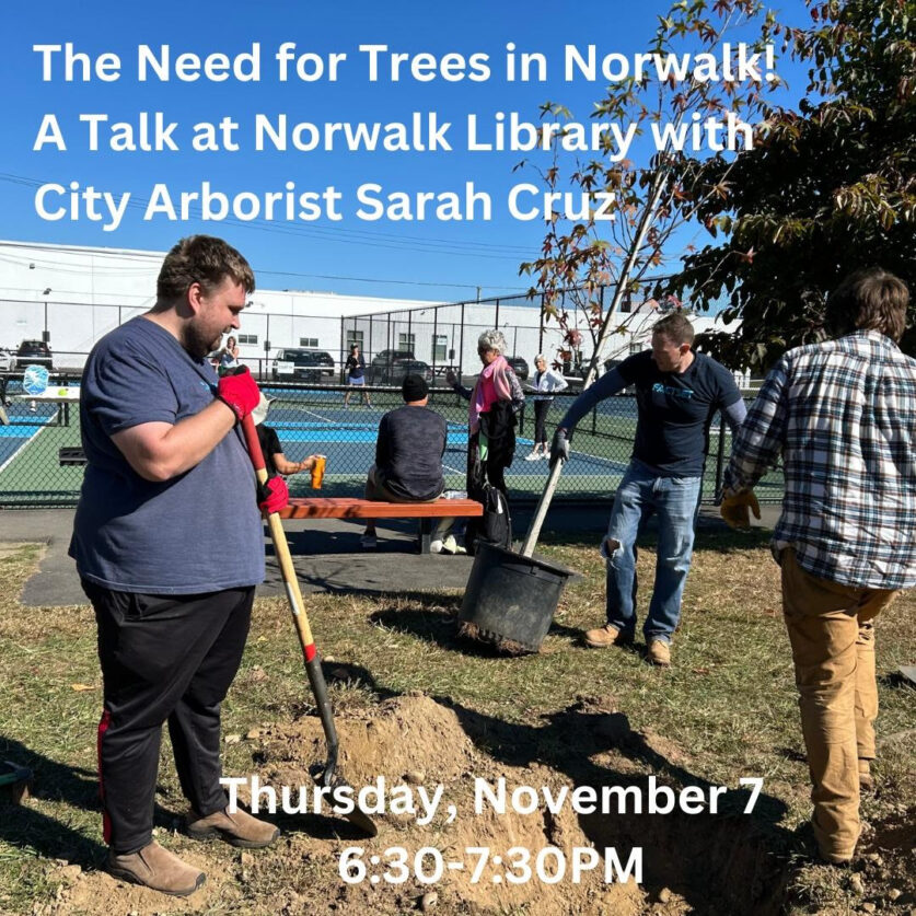 The Need for Trees Library Talk in Norwalk